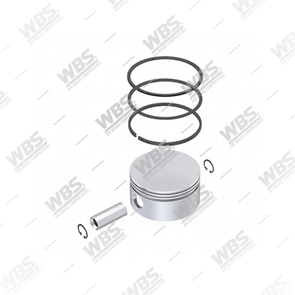 Ø100,00mm (STD), Piston & Ring